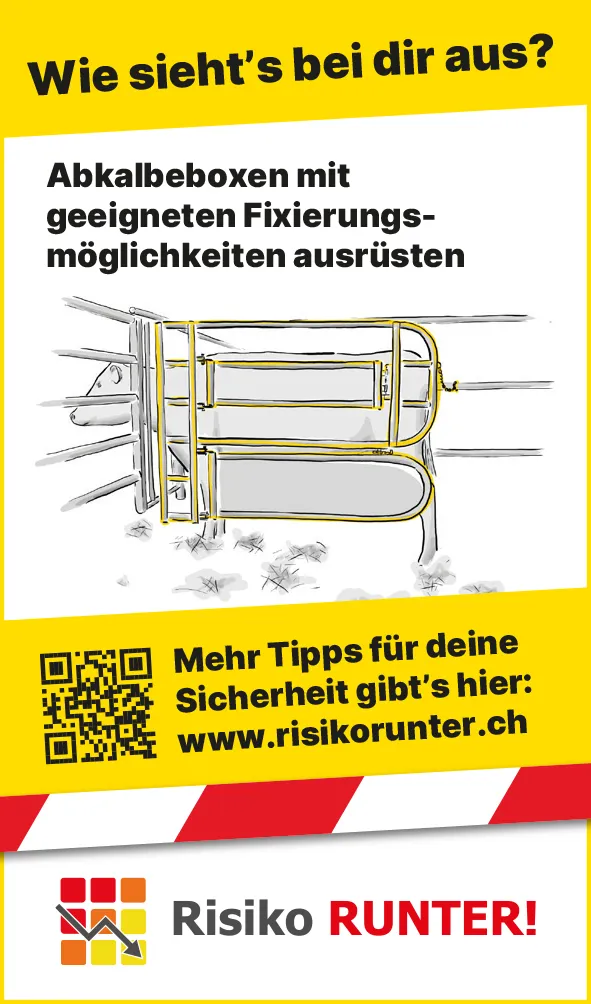 Tiere_Mutterkuh_DE3