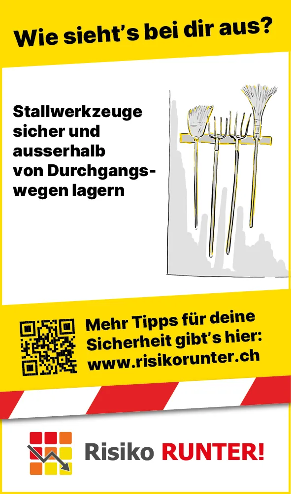 Tiere_Gabel_Heu_DE3